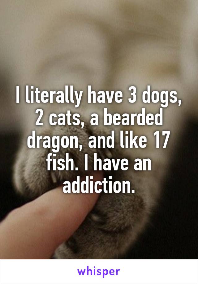 I literally have 3 dogs, 2 cats, a bearded dragon, and like 17 fish. I have an addiction.