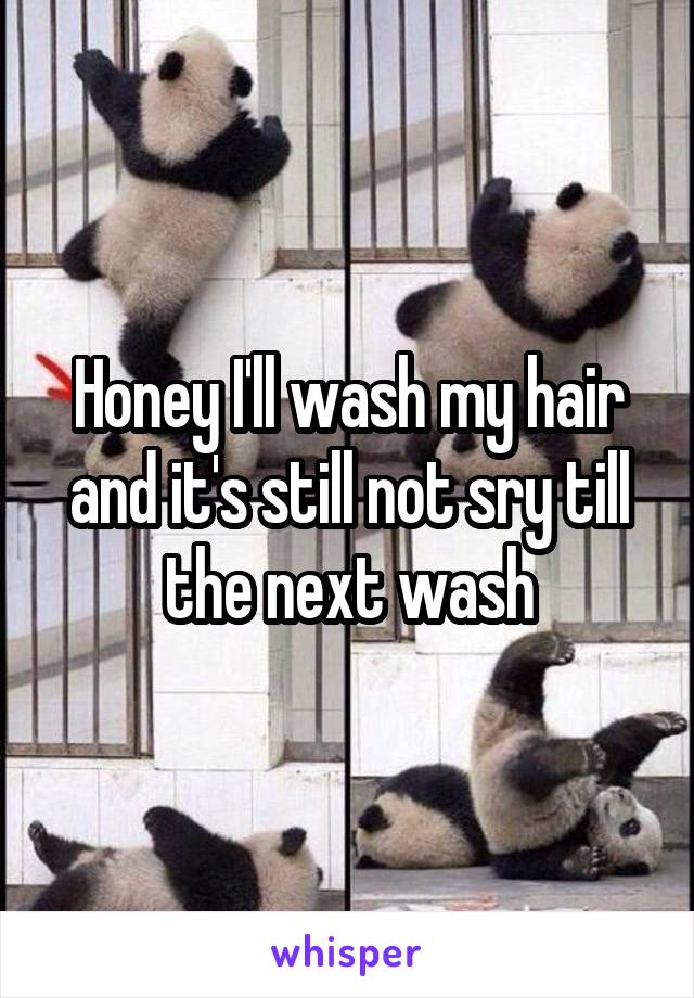 Honey I'll wash my hair and it's still not sry till the next wash