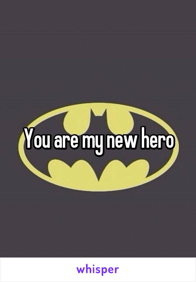 You are my new hero