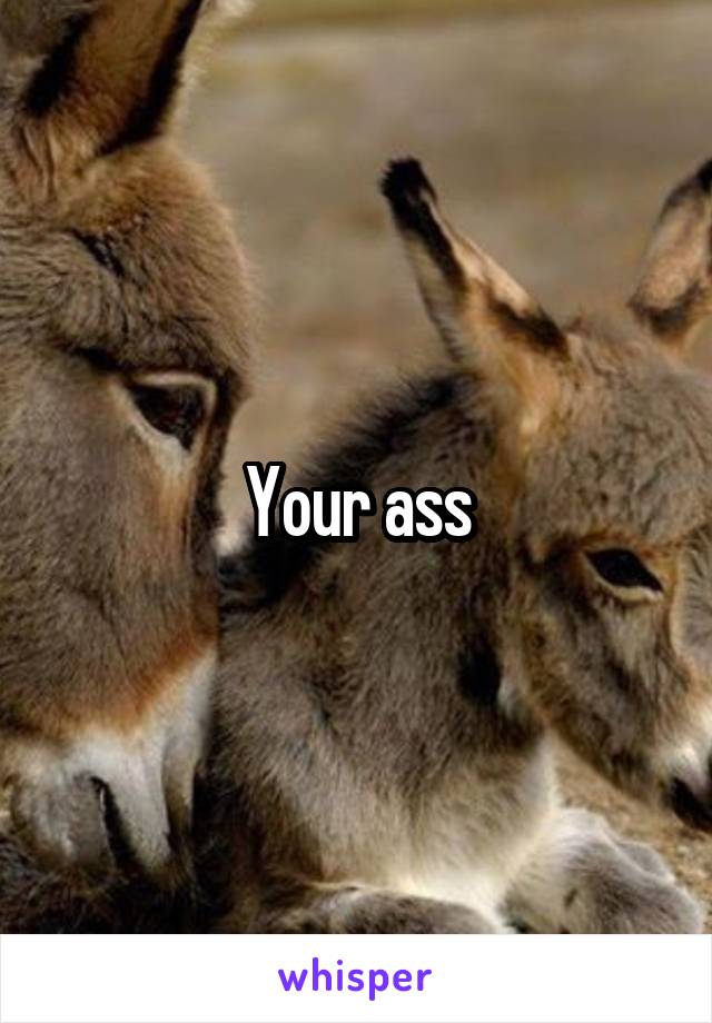 Your ass