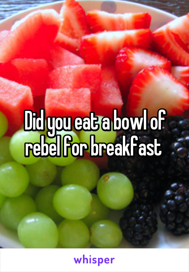 Did you eat a bowl of rebel for breakfast 