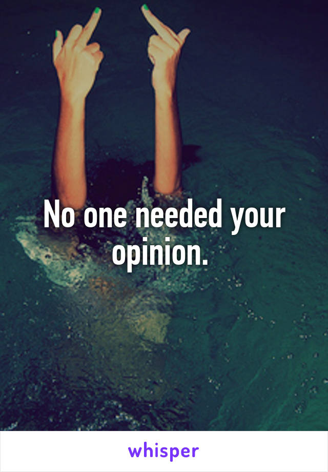 No one needed your opinion. 