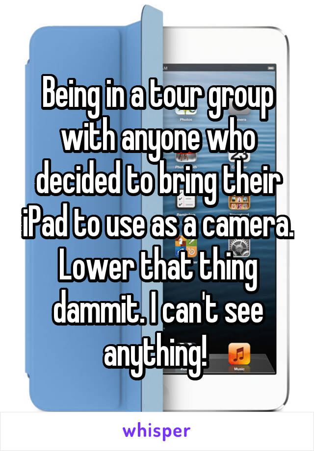 Being in a tour group with anyone who decided to bring their iPad to use as a camera. Lower that thing dammit. I can't see anything! 