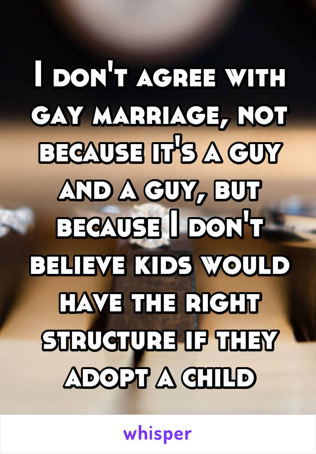 I don't agree with gay marriage, not because it's a guy and a guy, but because I don't believe kids would have the right structure if they adopt a child