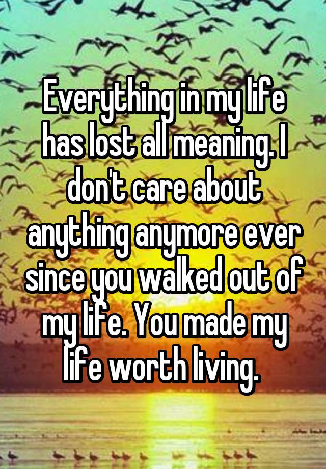 everything-in-my-life-has-lost-all-meaning-i-don-t-care-about-anything