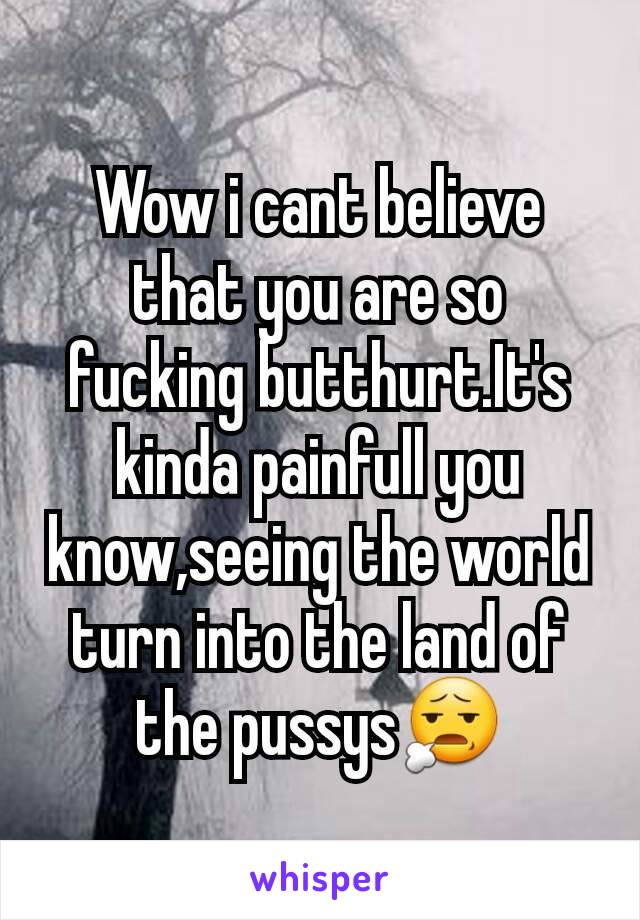 Wow i cant believe that you are so fucking butthurt.It's kinda painfull you know,seeing the world turn into the land of the pussys😧