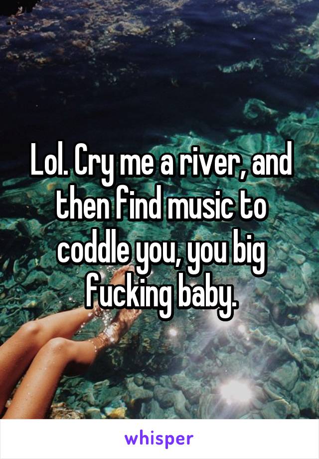 Lol. Cry me a river, and then find music to coddle you, you big fucking baby.