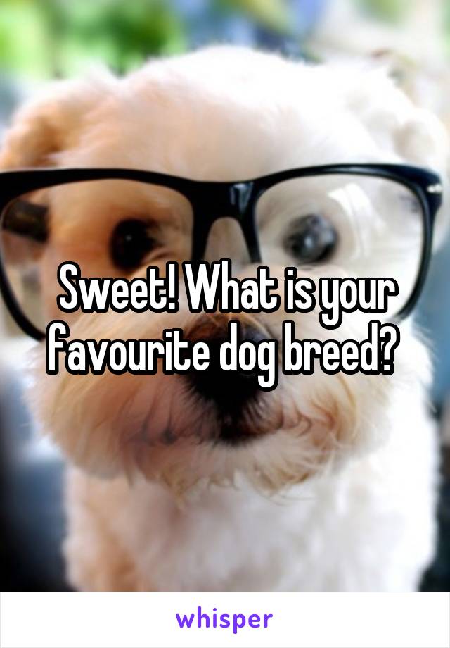 Sweet! What is your favourite dog breed? 