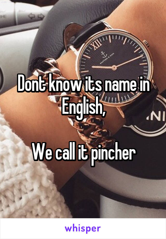 Dont know its name in English,

We call it pincher