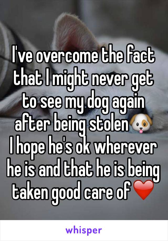 I've overcome the fact that I might never get to see my dog again after being stolen🐶
I hope he's ok wherever he is and that he is being taken good care of❤️