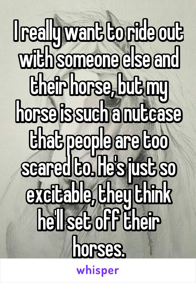 I really want to ride out with someone else and their horse, but my horse is such a nutcase that people are too scared to. He's just so excitable, they think he'll set off their horses.