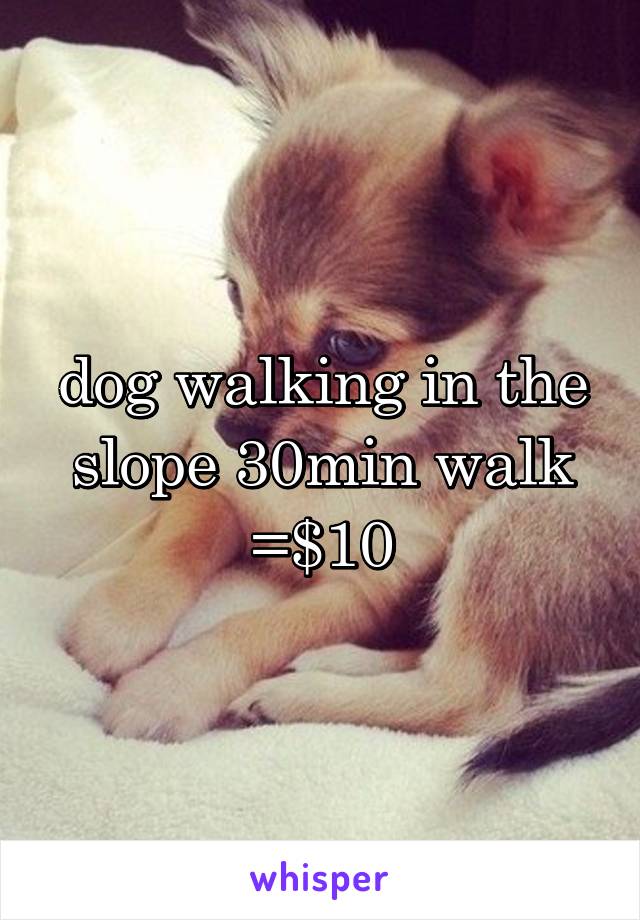 dog walking in the slope 30min walk
=$10