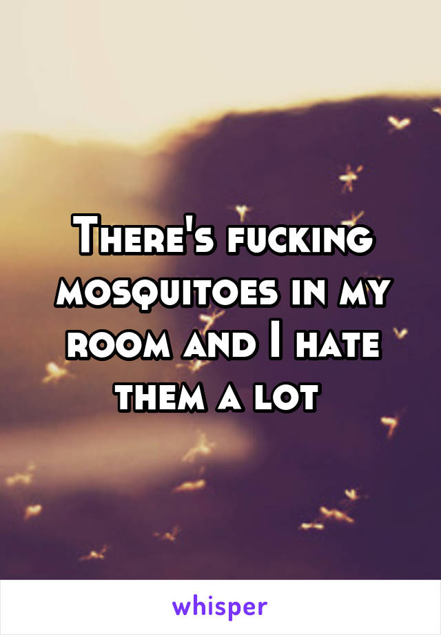 There's fucking mosquitoes in my room and I hate them a lot 