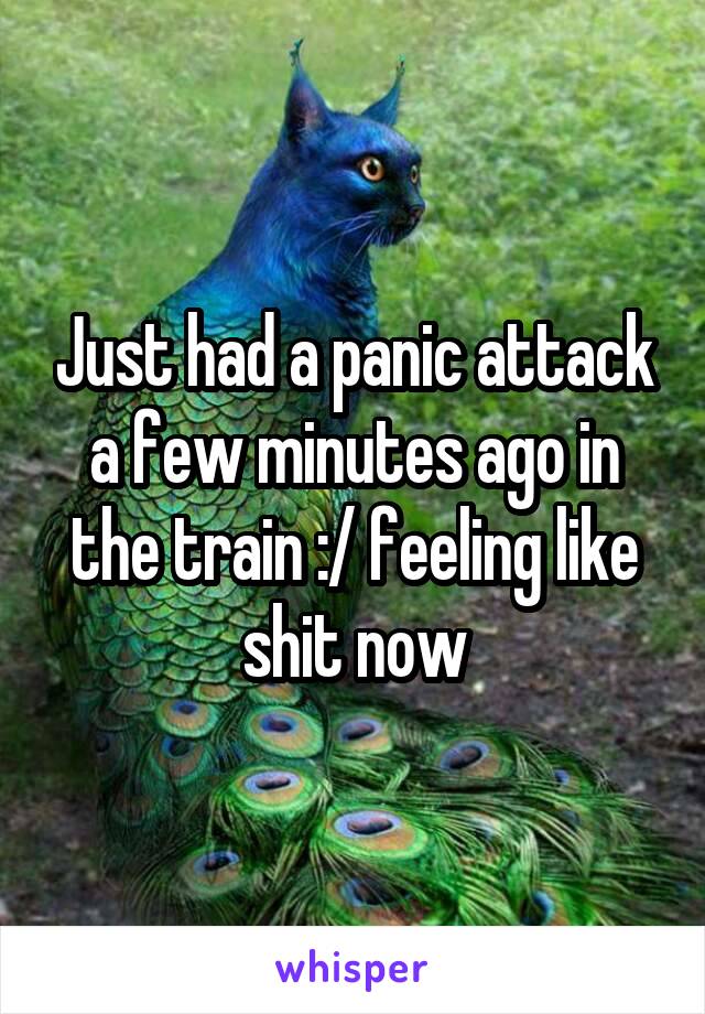 Just had a panic attack a few minutes ago in the train :/ feeling like shit now