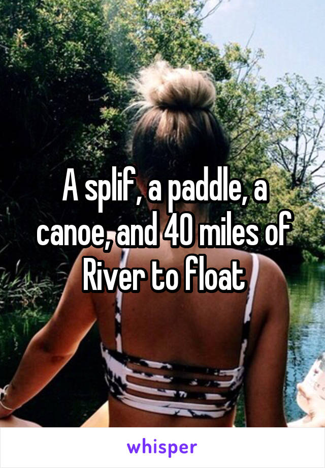 A splif, a paddle, a canoe, and 40 miles of River to float
