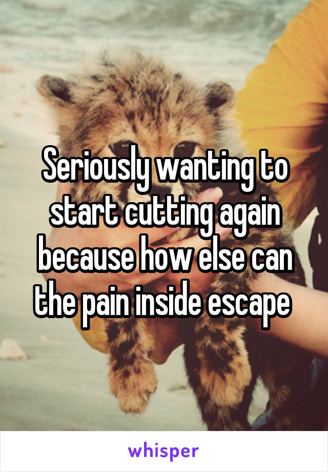 Seriously wanting to start cutting again because how else can the pain inside escape 