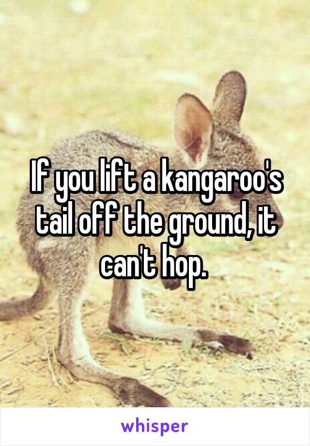 If you lift a kangaroo's tail off the ground, it can't hop. 
