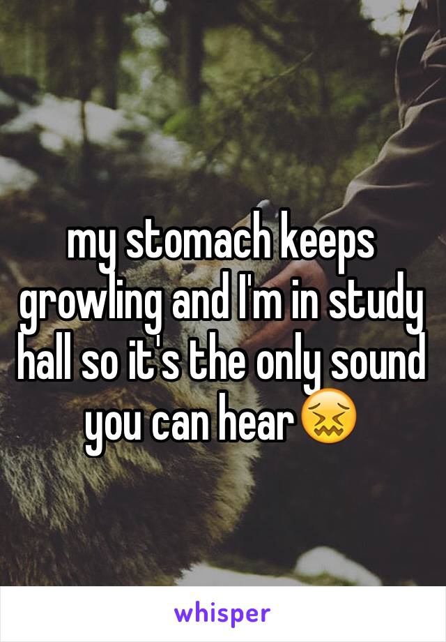 my stomach keeps growling and I'm in study hall so it's the only sound you can hear😖