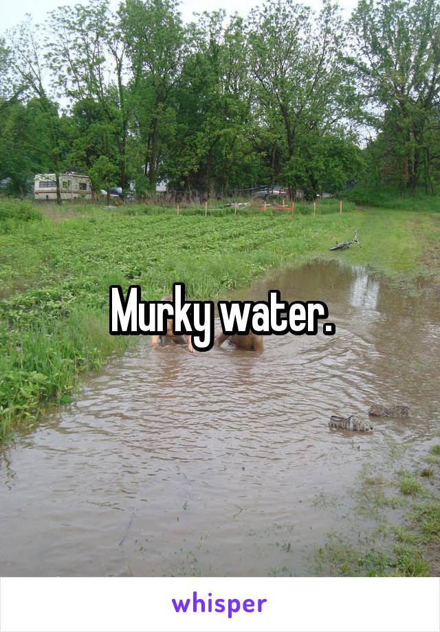 Murky water.