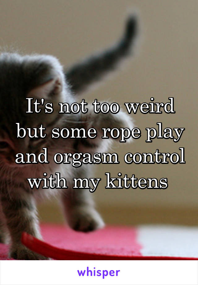 It's not too weird but some rope play and orgasm control with my kittens 