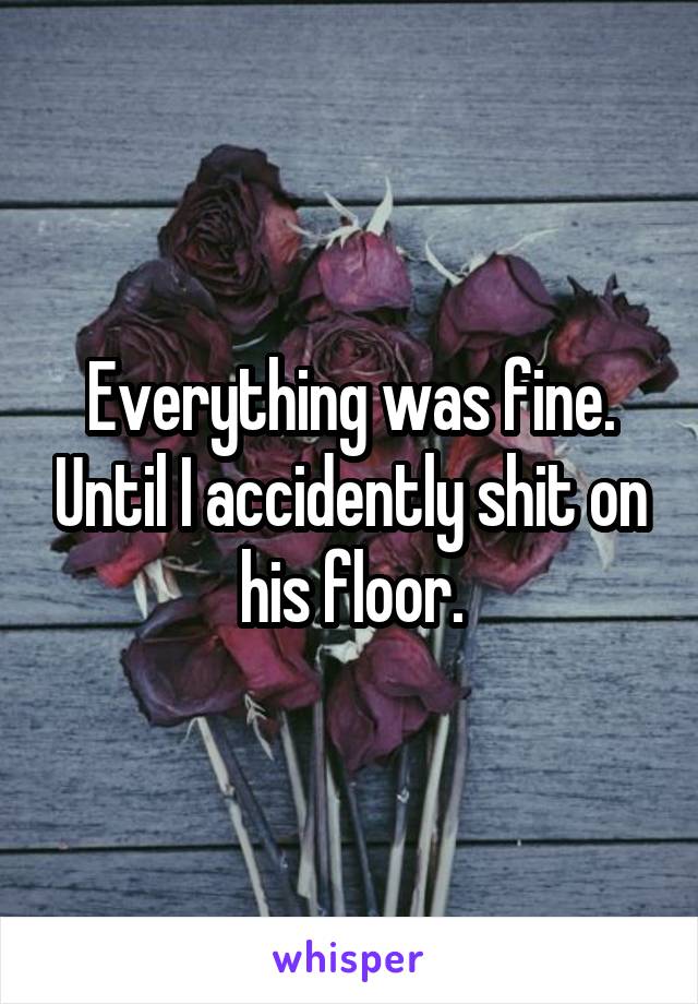 Everything was fine. Until I accidently shit on his floor.