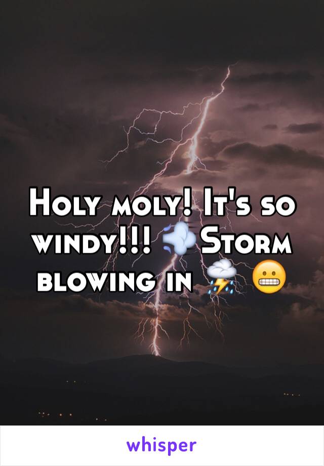 Holy moly! It's so windy!!! 💨Storm blowing in ⛈ 😬