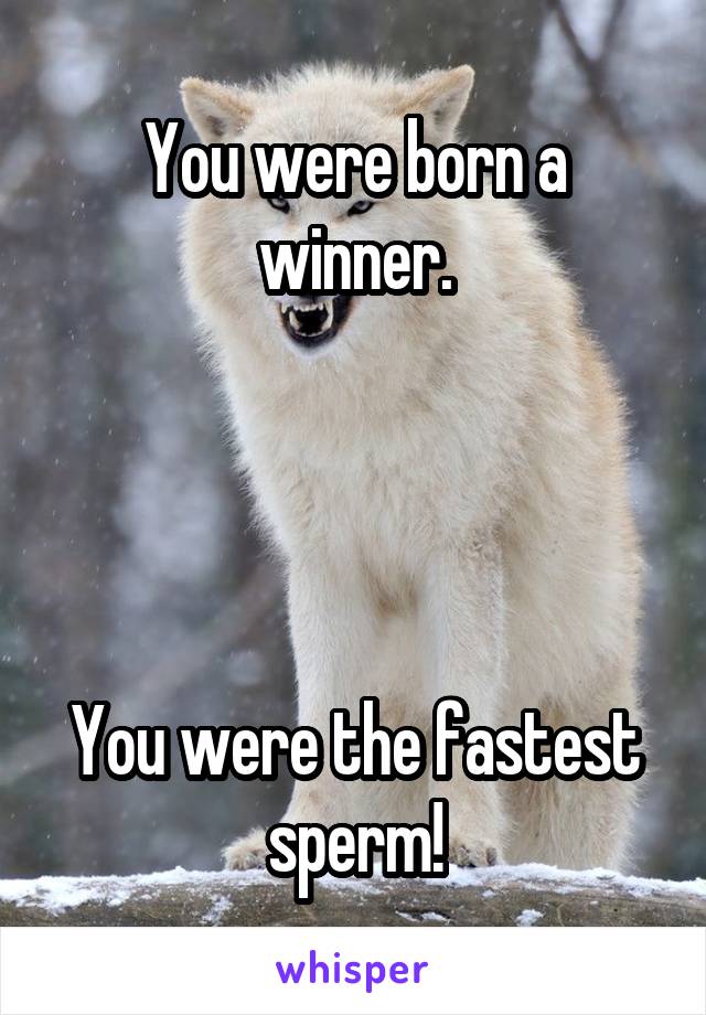 You were born a winner.




You were the fastest sperm!