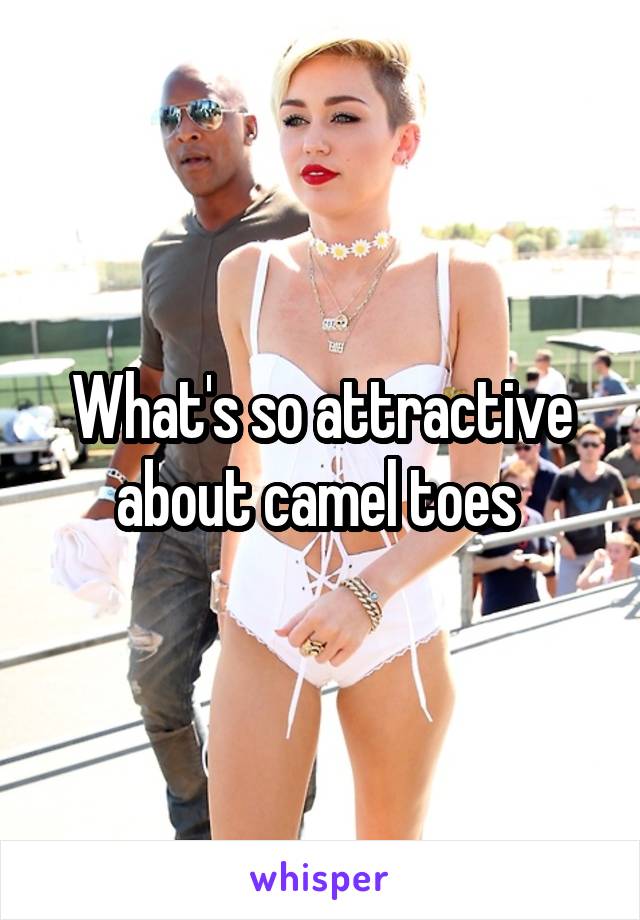 What's so attractive about camel toes 