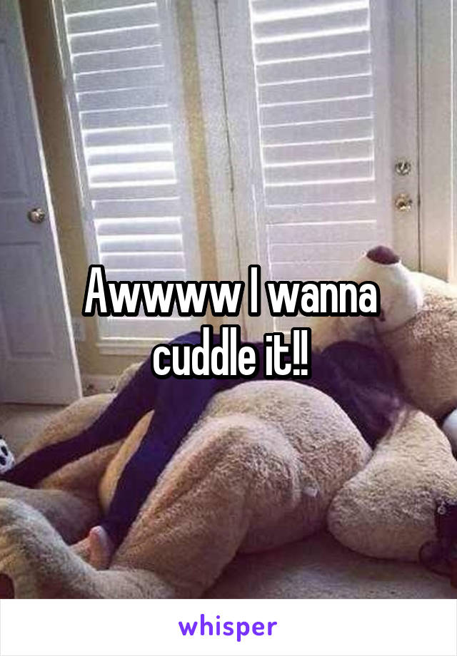 Awwww I wanna cuddle it!!