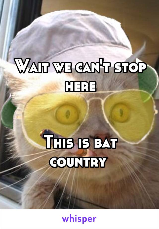Wait we can't stop here


This is bat country 