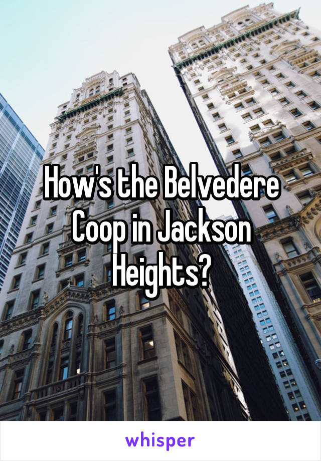 How's the Belvedere Coop in Jackson Heights?