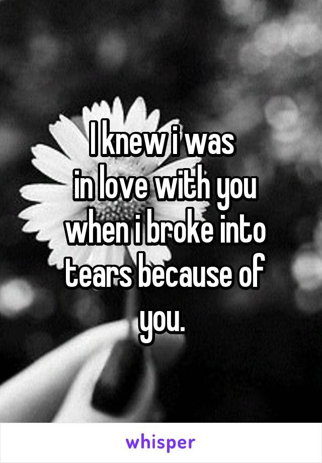 I knew i was
 in love with you
 when i broke into
 tears because of
 you. 