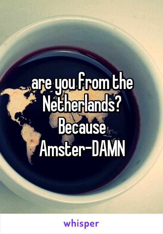are you from the Netherlands?
Because Amster-DAMN