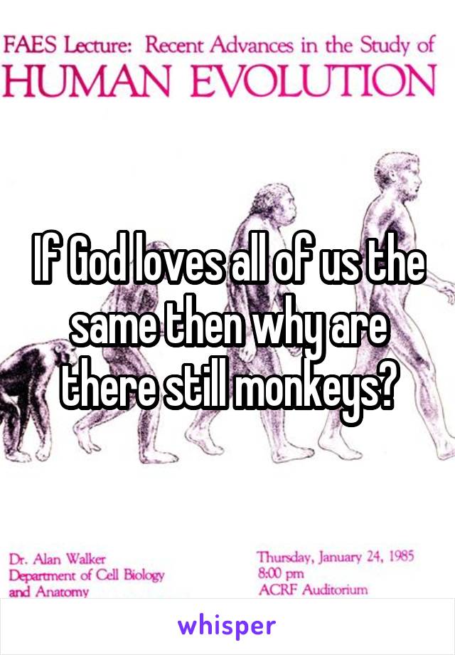 If God loves all of us the same then why are there still monkeys?