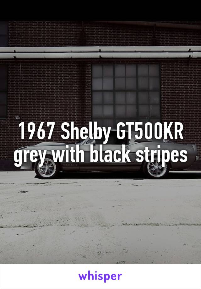 1967 Shelby GT500KR grey with black stripes