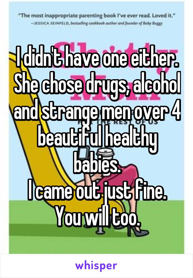 I didn't have one either. She chose drugs, alcohol and strange men over 4 beautiful healthy babies.
I came out just fine.
You will too.