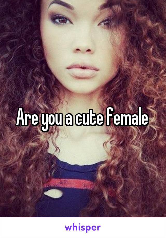 Are you a cute female 