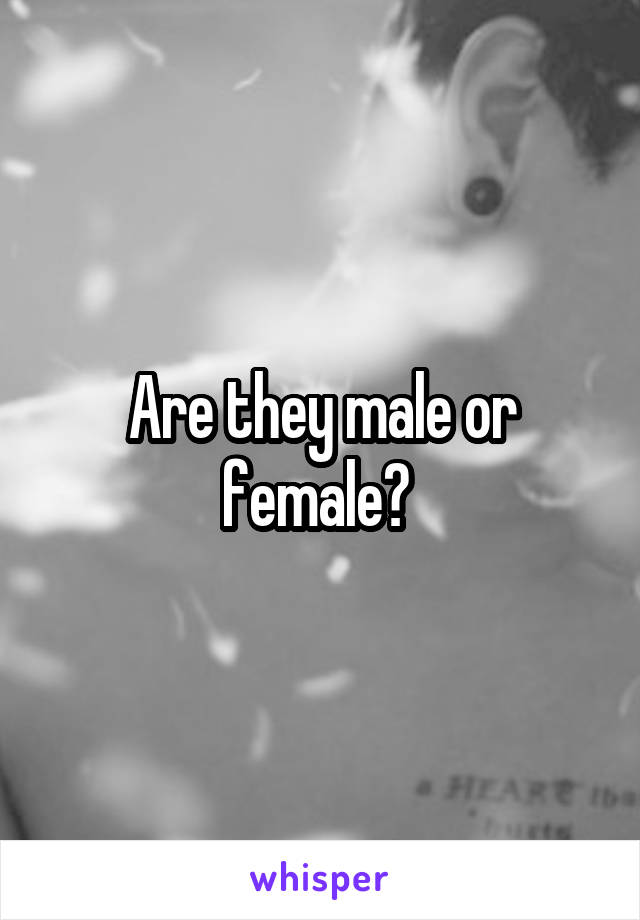 Are they male or female? 