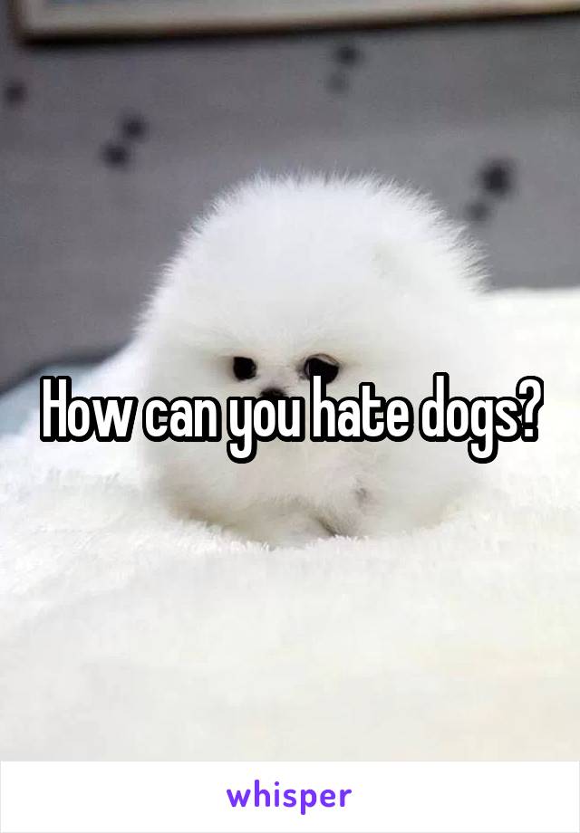 How can you hate dogs?