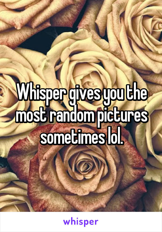 Whisper gives you the most random pictures sometimes lol.