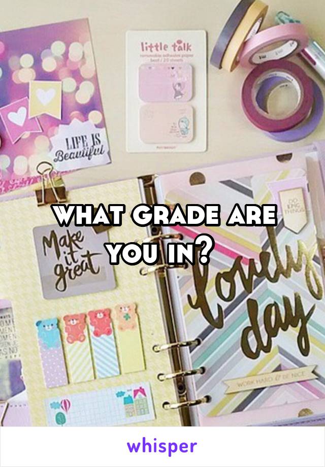 what grade are you in? 