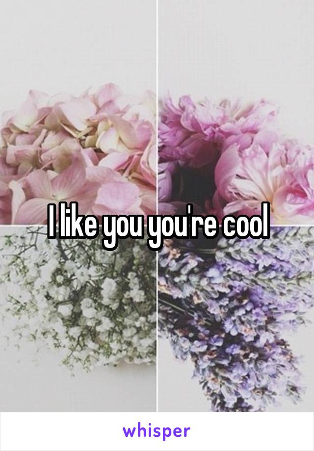 I like you you're cool