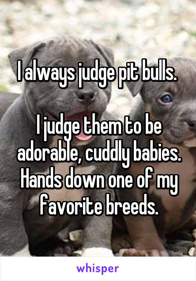 I always judge pit bulls. 

I judge them to be adorable, cuddly babies. Hands down one of my favorite breeds.