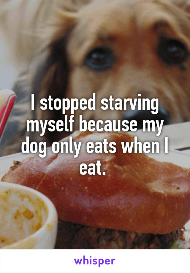 I stopped starving myself because my dog only eats when I eat. 