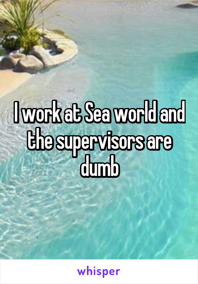 I work at Sea world and the supervisors are dumb