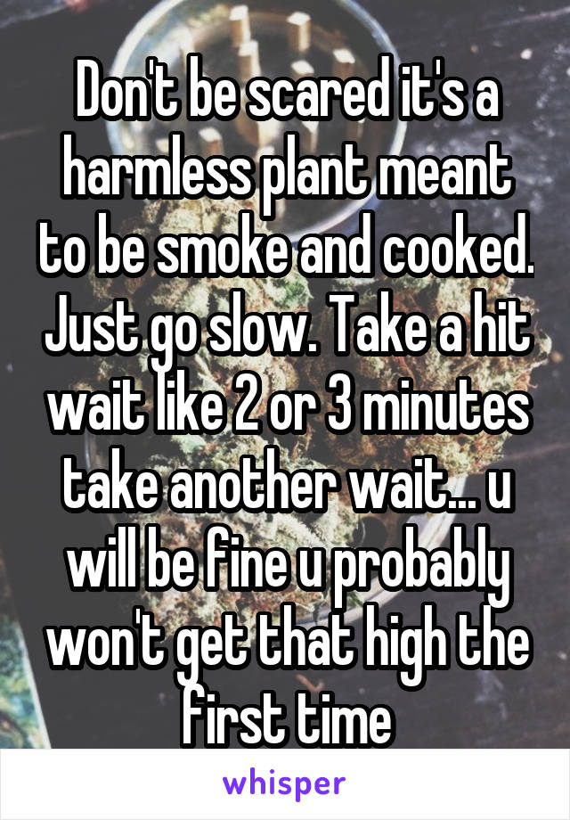 Don't be scared it's a harmless plant meant to be smoke and cooked. Just go slow. Take a hit wait like 2 or 3 minutes take another wait... u will be fine u probably won't get that high the first time