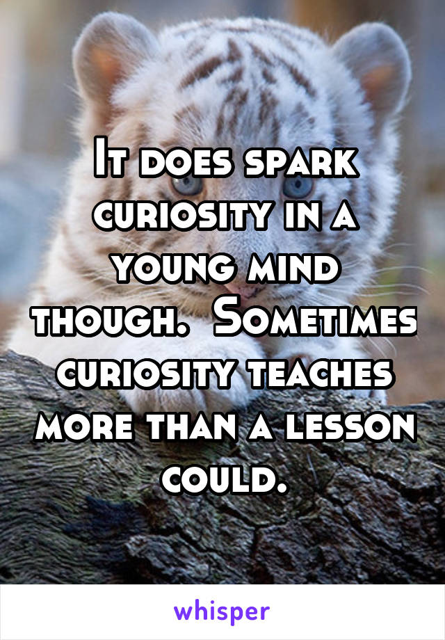 It does spark curiosity in a young mind though.  Sometimes curiosity teaches more than a lesson could.