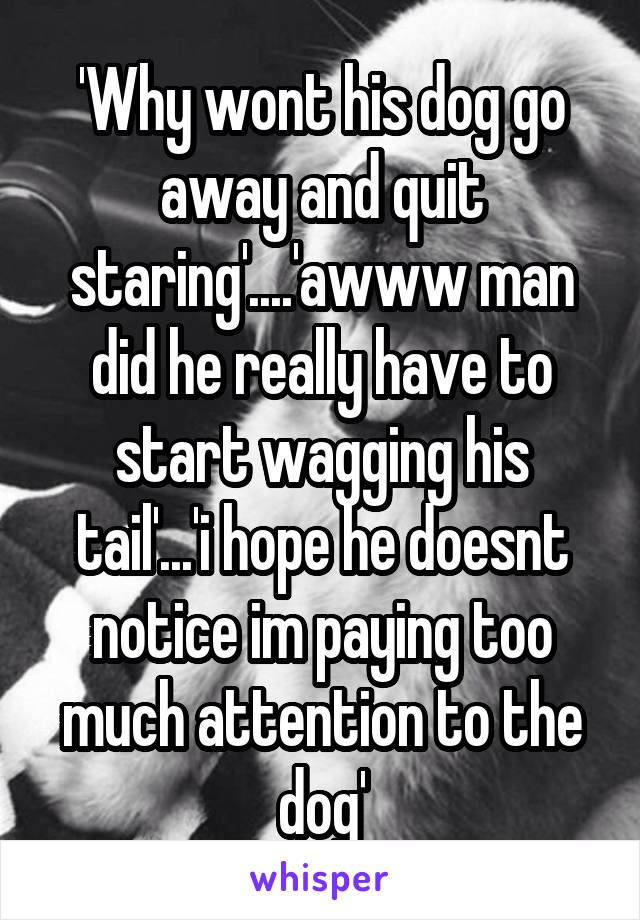 'Why wont his dog go away and quit staring'....'awww man did he really have to start wagging his tail'...'i hope he doesnt notice im paying too much attention to the dog'