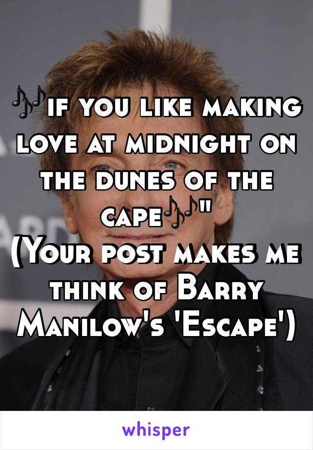 🎶if you like making love at midnight on the dunes of the cape🎶"
(Your post makes me think of Barry Manilow's 'Escape')