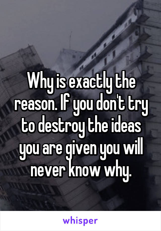 
Why is exactly the reason. If you don't try to destroy the ideas you are given you will never know why.